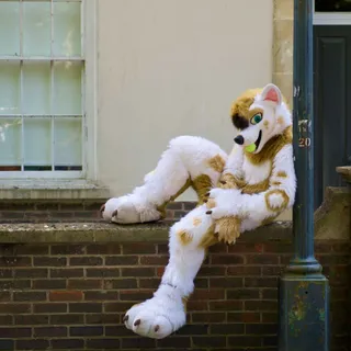 A white and brown canine fursuit sitting casually on a wall with a tennis ball in its mouth.