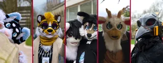 A collage of six fursuiters. A blue, black and white cat peeks from behind a wall. A cheetah with purple eye shadow and glasses motions upwards. Two white and brown canids with medium length black hair hug. A goat with green eyes and brown horns stares into the camera. A black, robotic bird with yellow markings looks onwards.